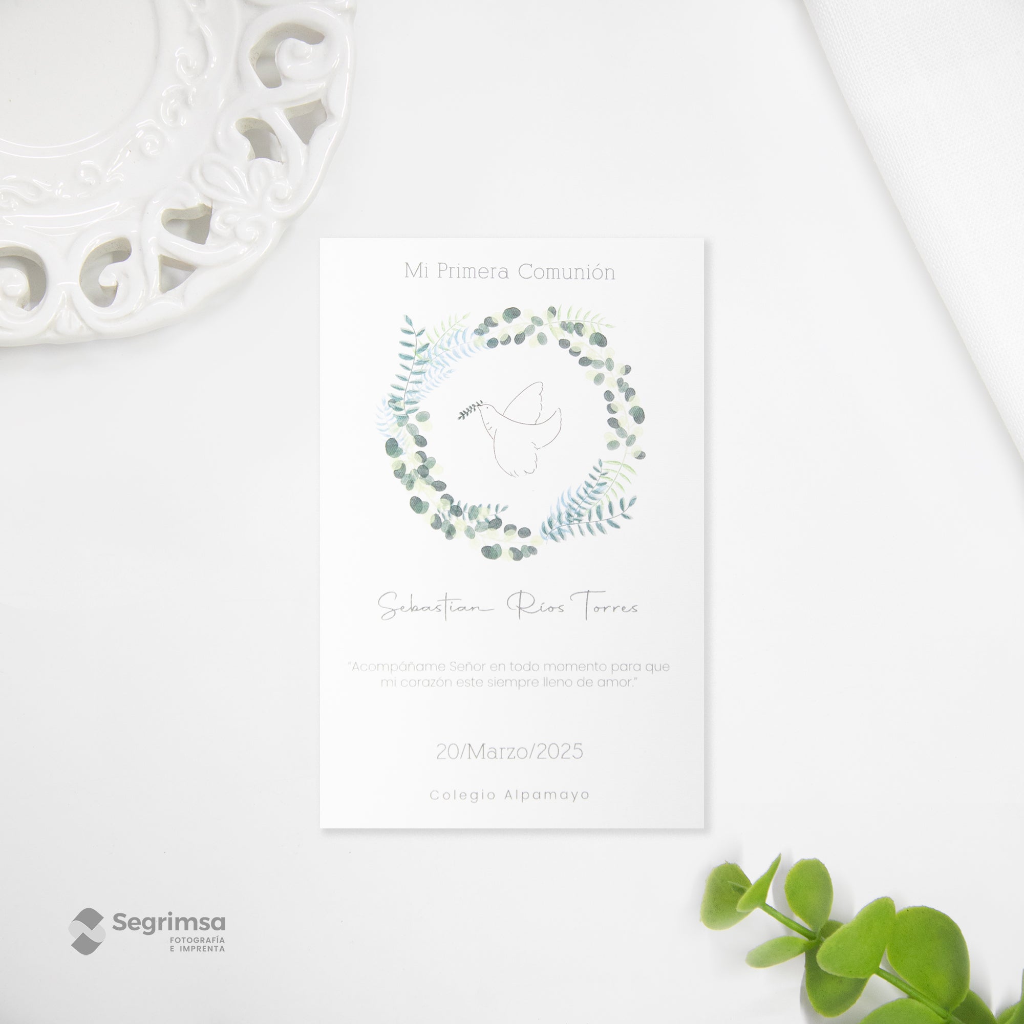 Estampa Creativa Niño Modelo E250005-B