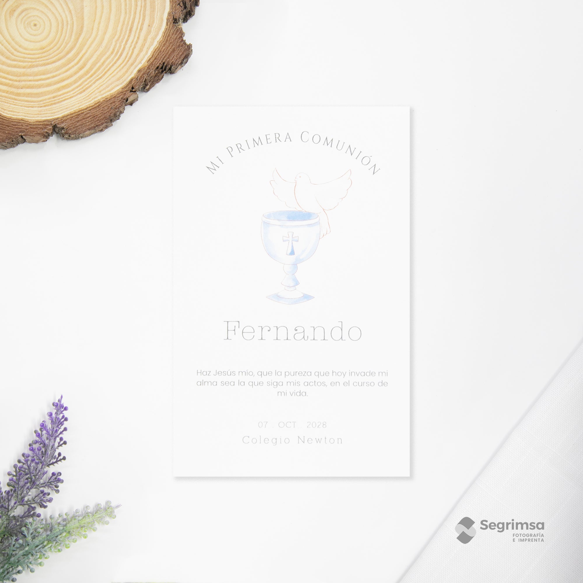 Estampa Creativa Niño Modelo E250006-B