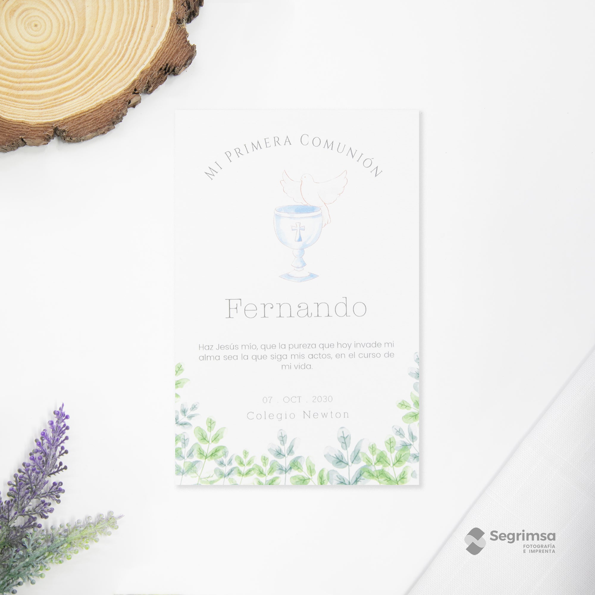 Estampa Creativa Niño Modelo E250007-B