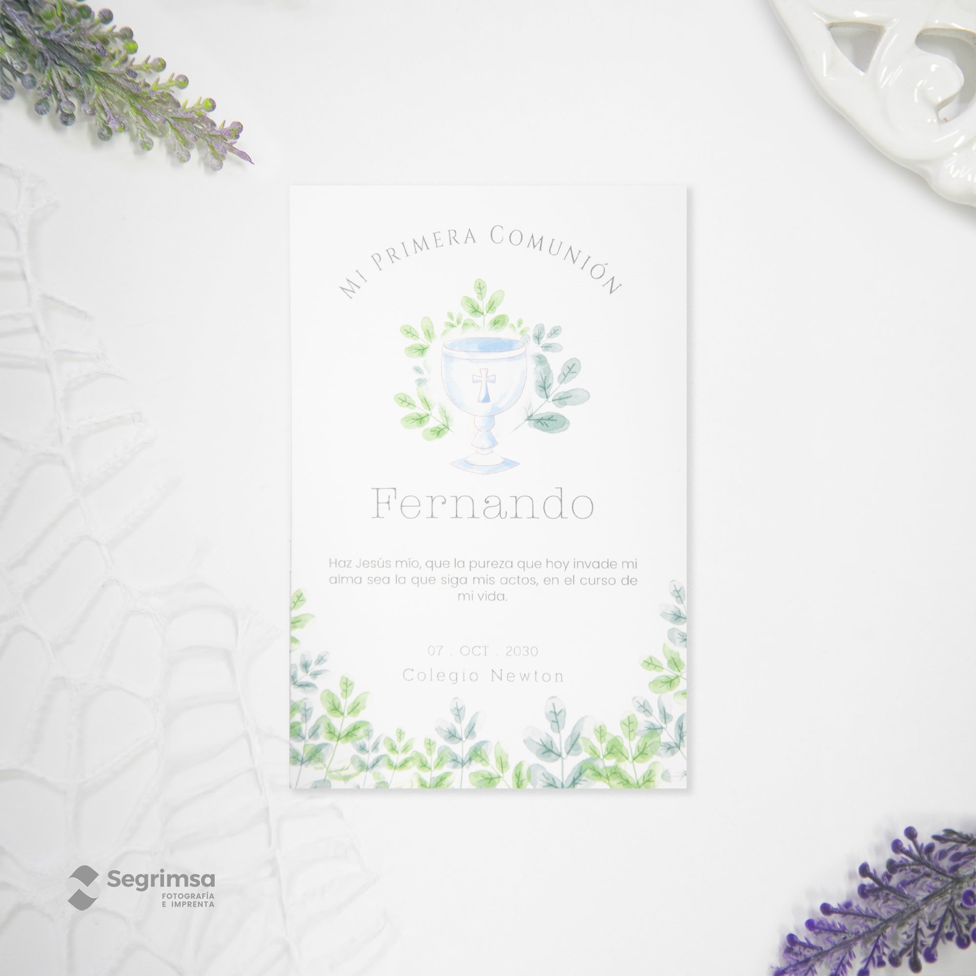 Estampa Creativa Niño Modelo E250008-B