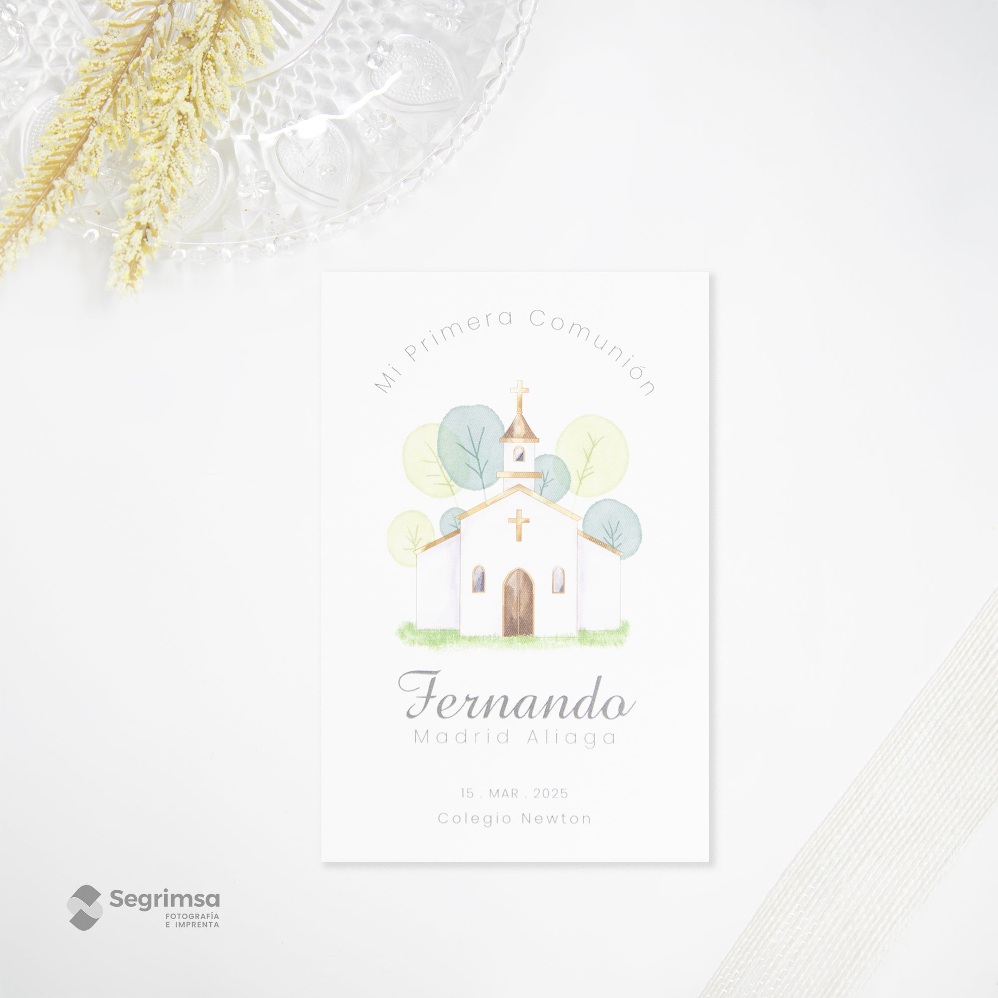 Estampa Creativa Niño Modelo E250016-B