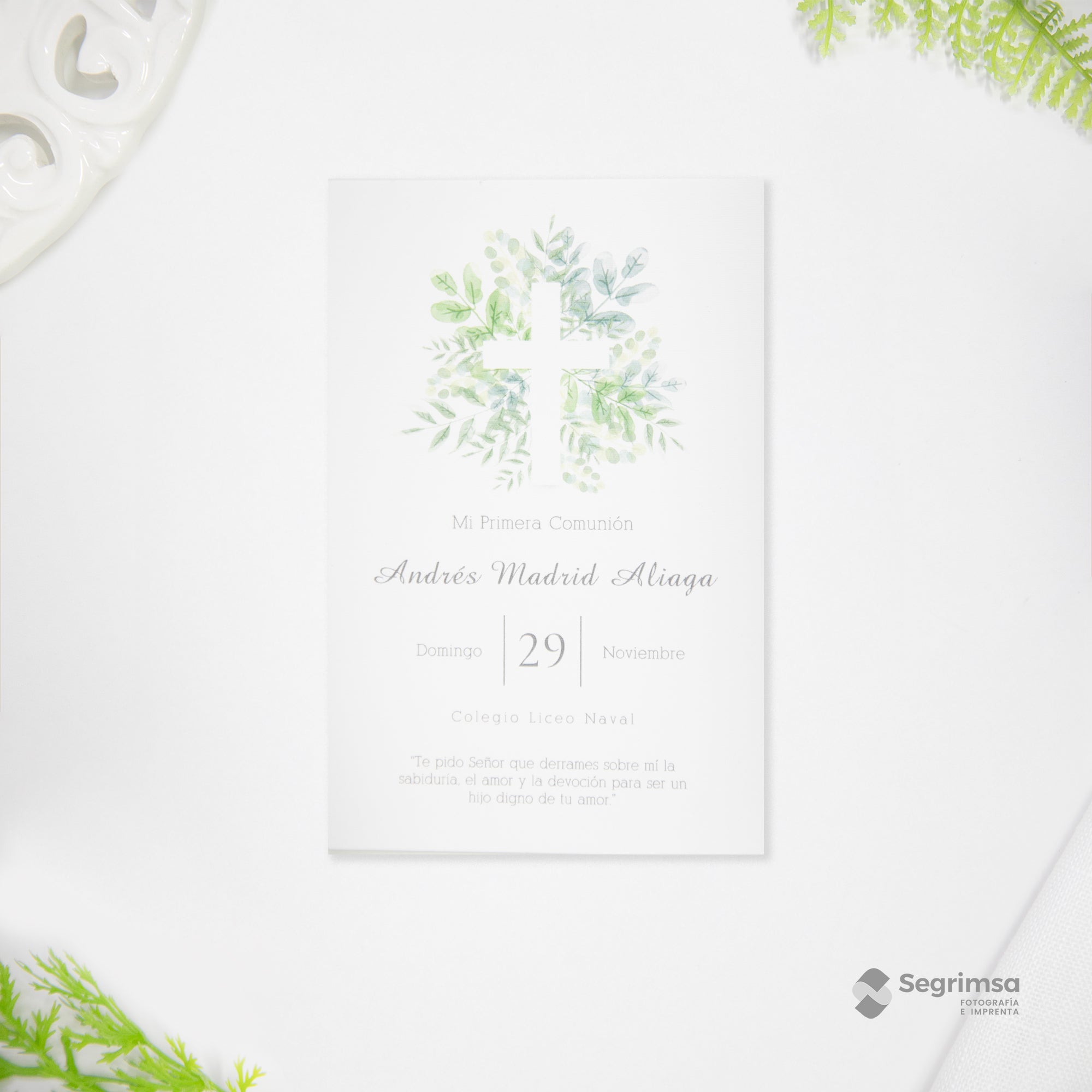 Estampa Creativa Niño Modelo E250025-B4