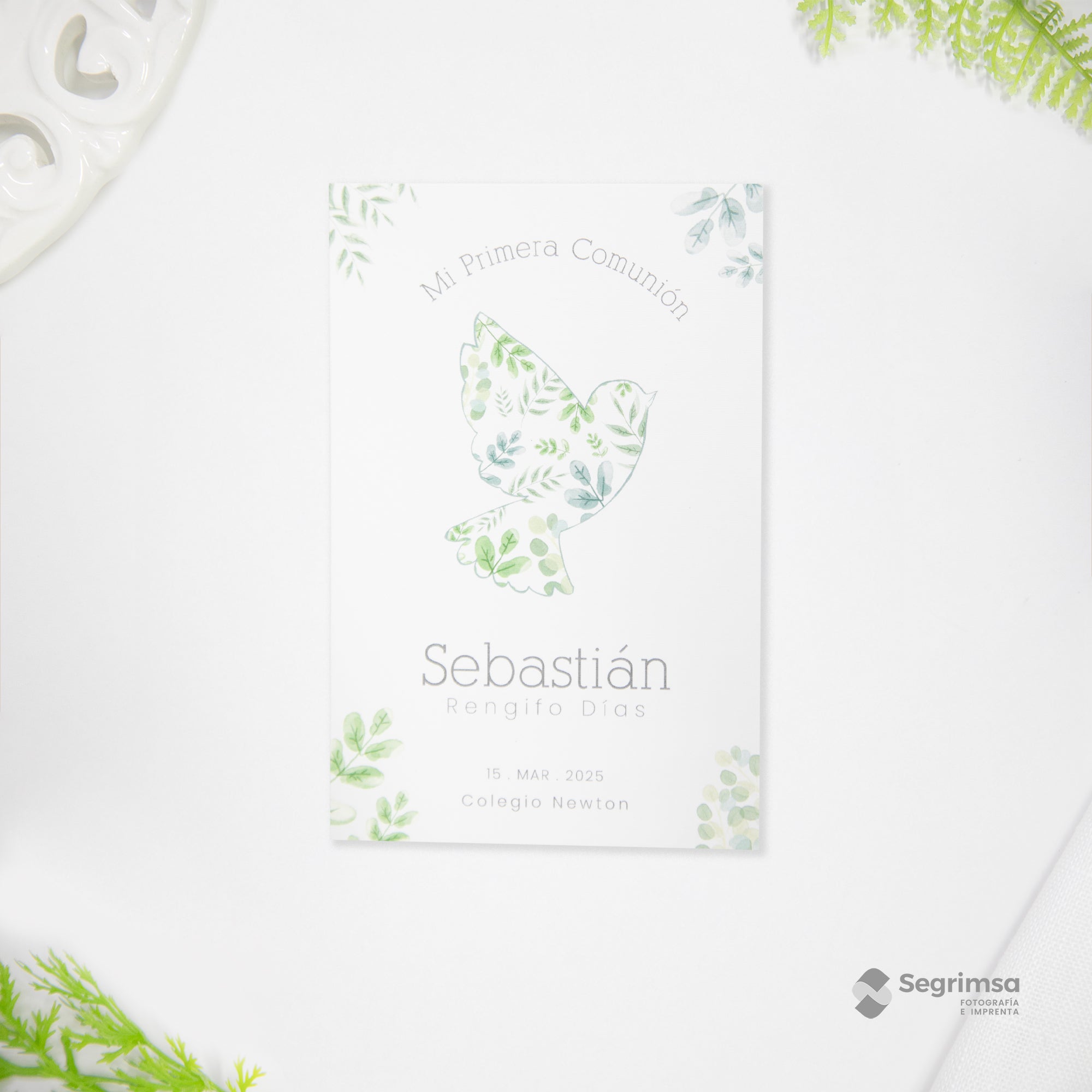 Estampa Creativa Niño Modelo E250028-B1