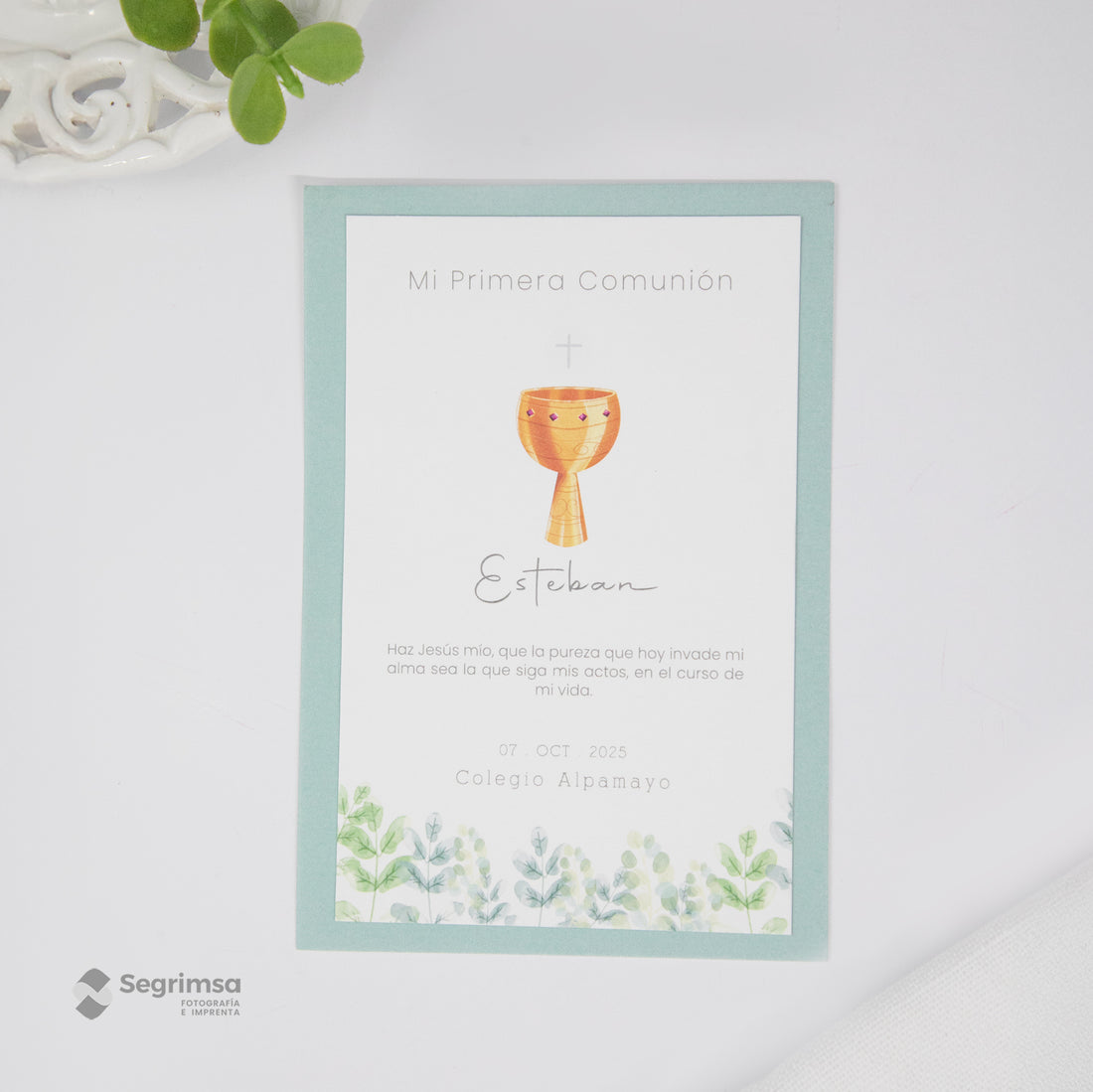 Estampa Creativa Niño Modelo E250029-B