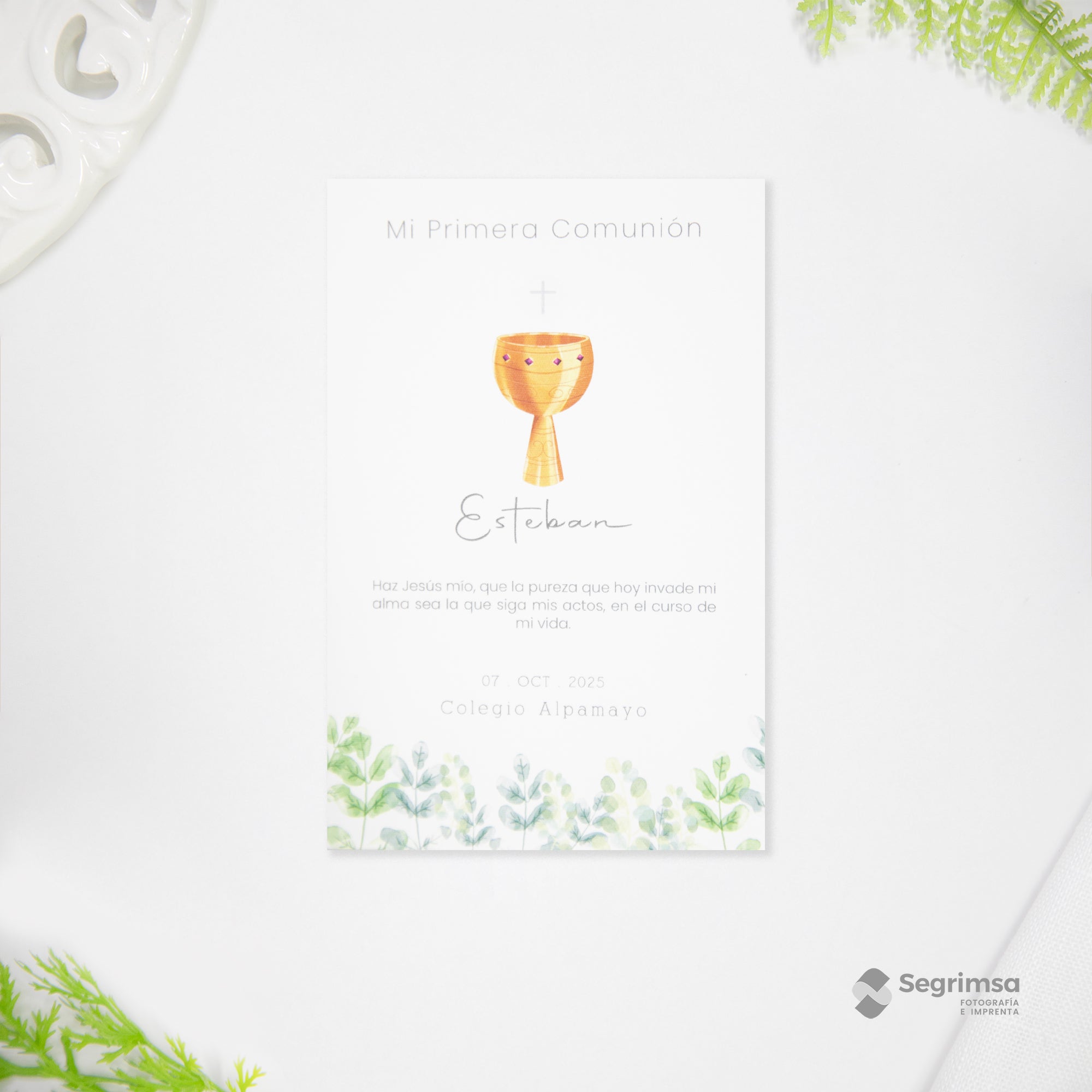 Estampa Creativa Niño Modelo E250029-B