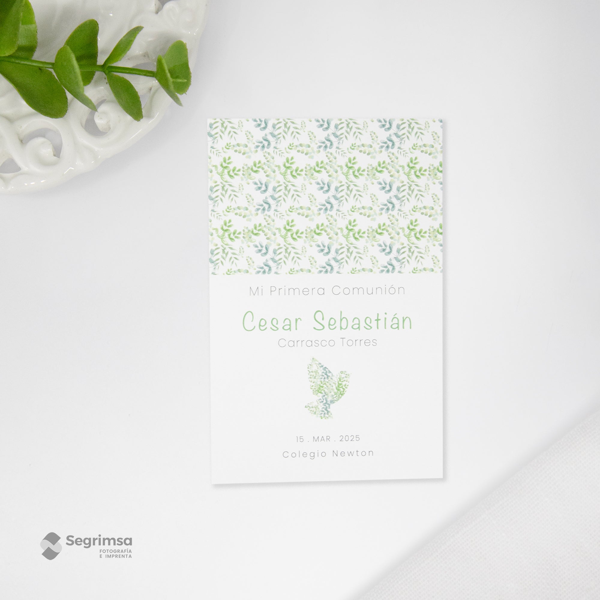 Estampa Creativa Niño Modelo E250043-B2