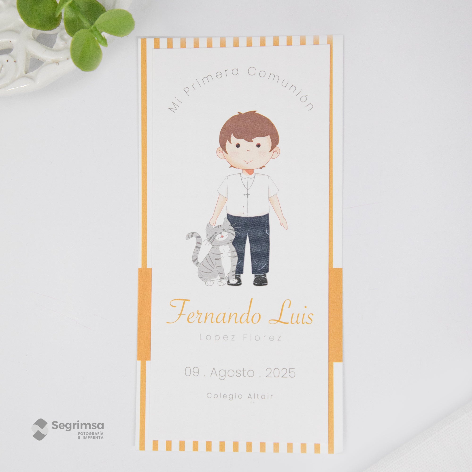 Estampa Creativa Niño Modelo E250084-1