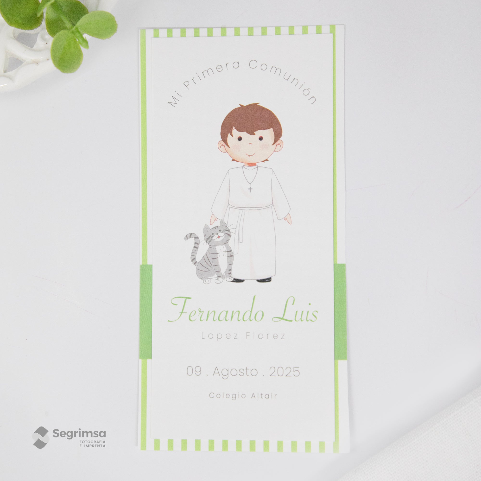 Estampa Creativa Niño Modelo E250084-5