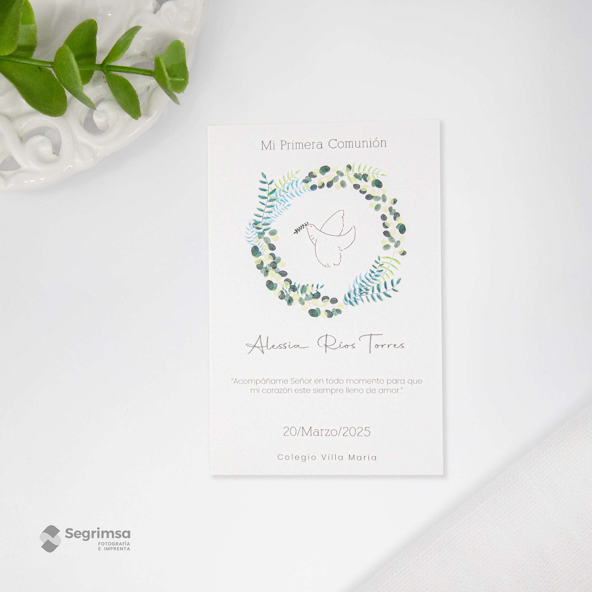 Estampa Creativa Niña Modelo E250005-3