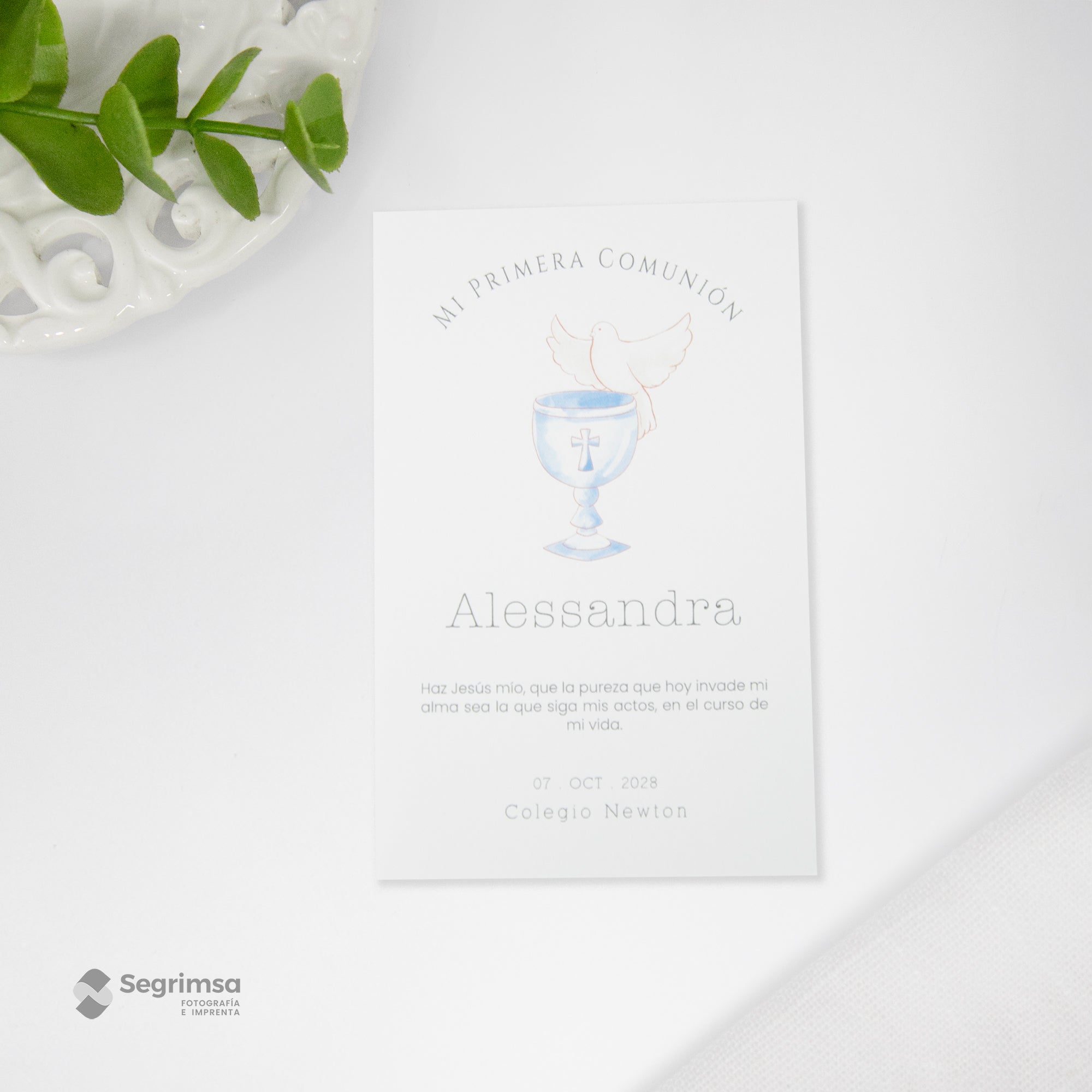 Estampa Creativa Niña Modelo E250006-2