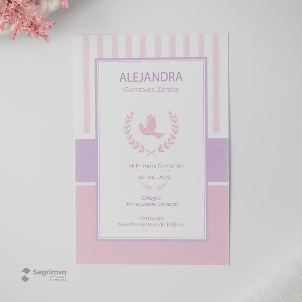 Estampa Creativa Niña Modelo E5002-3