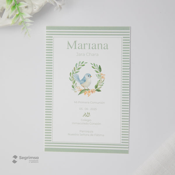 Estampa Creativa Niño Modelo E5004-1